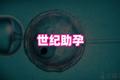 123试管孕网 4